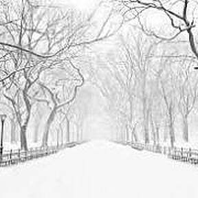 Winter Scene
